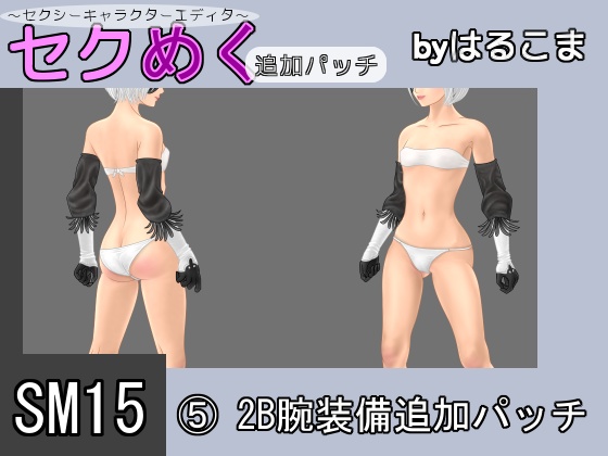 Seku Meku DLC: SM15(5) 2B Arm Items By HaruKoma Seku Meku DLC: SM15(5) 2B Arm Items By HaruKoma