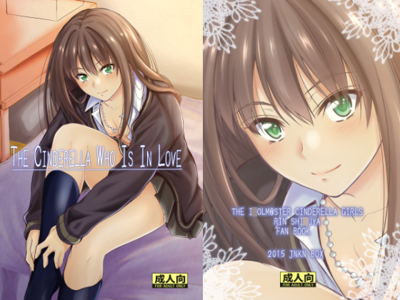 The Cinderella Who Is In Love By Junk Box The Cinderella Who Is In Love By Junk Box
