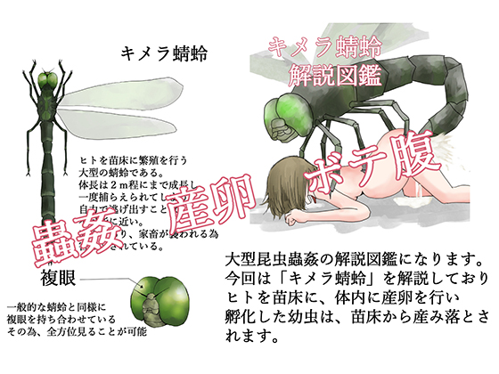 Chimera Dragonfly Analysis By TeruTeruGirl Chimera Dragonfly Analysis By TeruTeruGirl