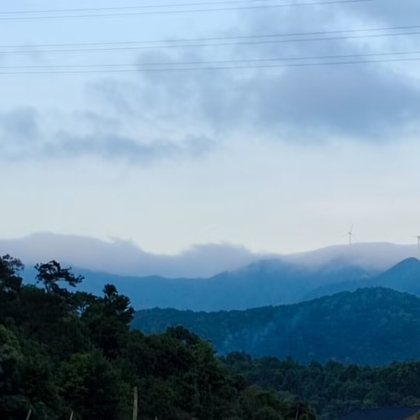 纯肉NONONO By 道观传媒