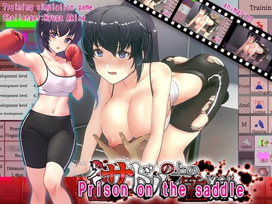 Prison on the saddle By Shimizuan Prison on the saddle By Shimizuan