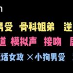 【中文音声】和姐姐尝试四爱 【中文音声】和姐姐尝试四爱