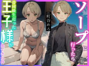 [RJ01379395] 【韓国語版】ソープに行ったら昔同級生だった王子様が出てきた件