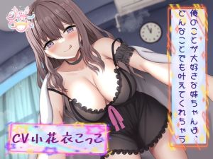 [RJ01462103] 【簡体中文版】【ドMなブラコン妹とのエッチ生活】俺のことが大好きな妹ちゃんは、どんなことでも叶えてくれちゃう【受け攻め逆転、連続イキッ!】